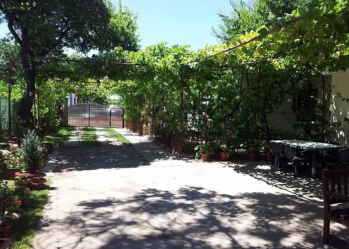 Gms House 招待所 科斯蒂内什蒂