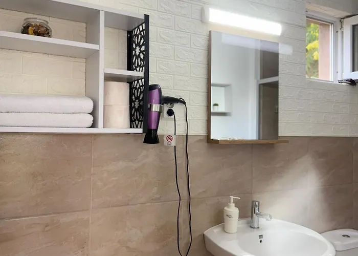 Gms House 3* 科斯蒂内什蒂